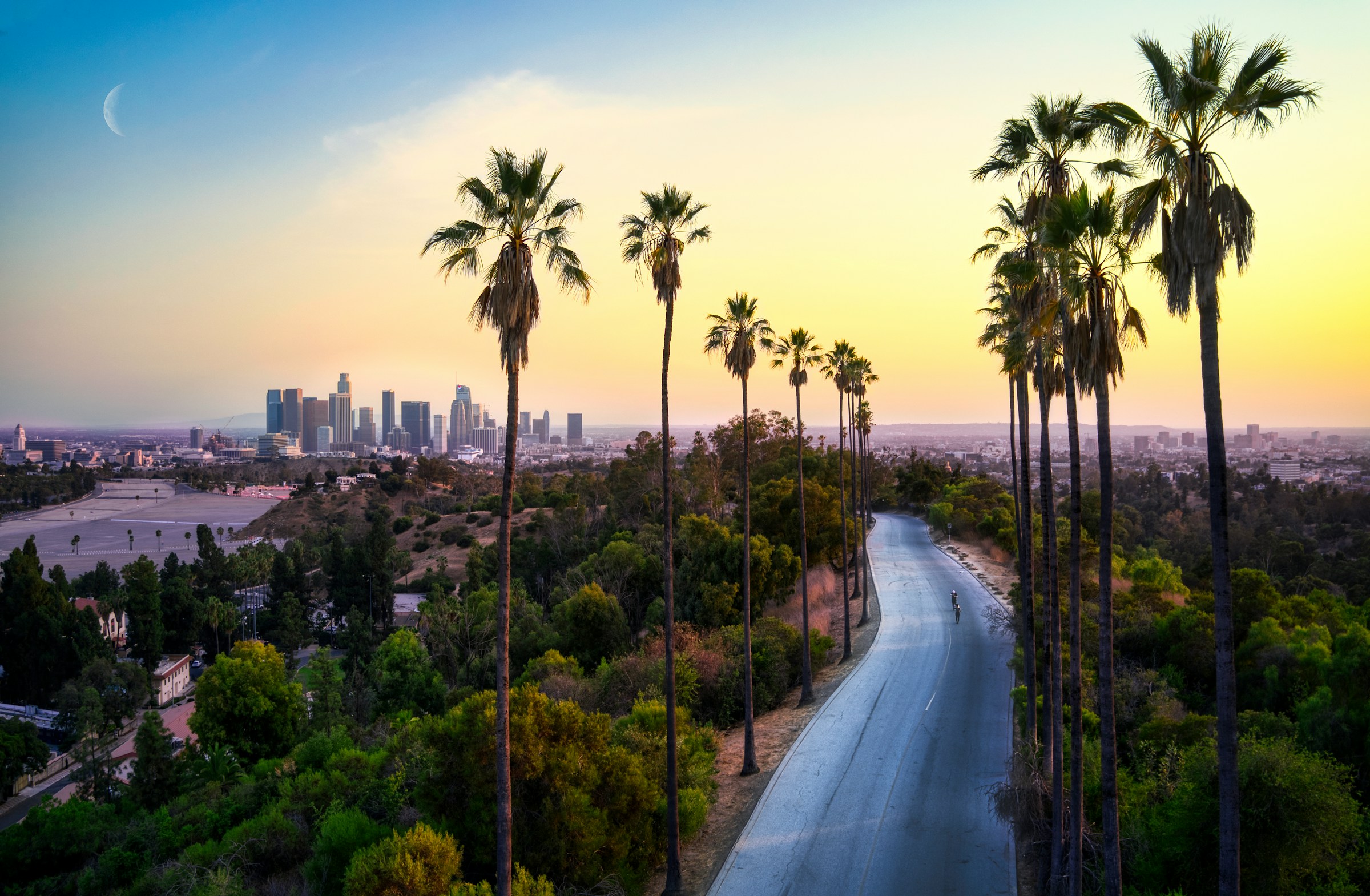 Palm-lined hills overlooking the Los Angeles skyline at sunset